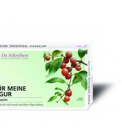 Dr. Schreibers Für meine Figur 60 Stk.