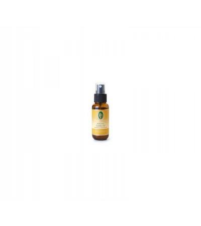 Primavera Raumspray Cosmic Chi 30 ml